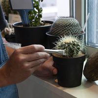 ダルトン METAL BRUSH/メタルブラシ G21-0387 1個（直送品）