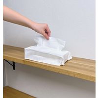 ペーパータオルケース 吊or置 1個 東和産業