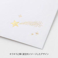 デザインフィル 封筒 大切な日に贈る 洋2 星柄 20594006 1セット(1パック×3)