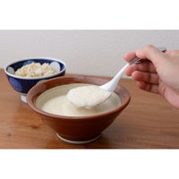 カンダ kan 絶妙サイズの取りわけスプーン 4949362705030 1個（直送品）