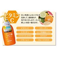 プラチナレーベル VC酵素配合泡洗顔 450ml 本体 ドウシシャ 大容量