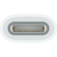 Apple純正 USB Type-C ー Apple Pencilアダプタ　iPad 第10世代対応 MWML3FE/A アップル 1個