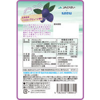 北海道ハスカップグミラブレ乳酸菌入 グミ ご当地 1セット（1個×4） カネカ食品