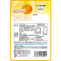 和歌山温州みかんグミラブレ乳酸菌入 グミ ご当地 1セット（1個×4） カネカ食品