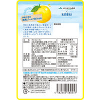 湘南ゴールドグミ ラブレ乳酸菌入 グミ ご当地 1セット（1個×4） カネカ食品