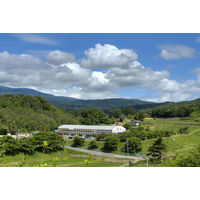 人気一 ゴールド人気 純米大吟醸 瓶 720ml 1本 人気酒造 福島県 日本酒