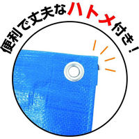 フローバル ブルーシート 厚手#3000 3.6×3.6 PBS3-3.6×3.6 1枚（わけあり品）