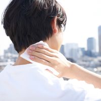 数量限定 生活の木 ミント＆レモン フレグランスシート 10枚入