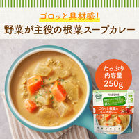 カゴメ プラントベース ごろっと根菜のスープカレー 1人前・250g 1セット（1個×2）レンジ対応 レトルト