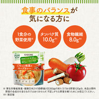 カゴメ プラントベース ごろっと根菜のスープカレー 1人前・250g 1個 レンジ対応 レトルト