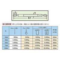 パーマンコーポレーション ポリベルトスリング JIS III級 ソフト面付 巾75mm 3m 1本 6451703000 1個（直送品）