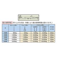 パーマンコーポレーション ポリベルトスリング JIS ポリ入りかため 巾25mm 5.5m 1本 6452205500 1個（直送品）
