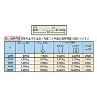 パーマンコーポレーション ポリベルトスリング JIS III級 巾50mm 4m 1本 6452504000 1個（直送品）