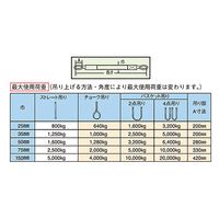 パーマンコーポレーション ポリベルトスリング JIS III級 巾50mm 5m 1本 6452505000 1個（直送品）