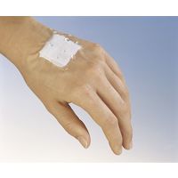 スリーエム ブレンダーム （10） 1525-2 1箱（6巻）