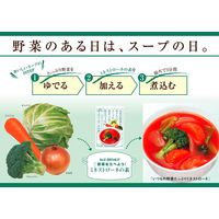 キユーピー 3分クッキング 野菜をたべよう！ミネストローネの素 2～3人前×2回分 1セット（1袋×2）