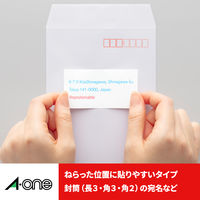 エーワン（A-one）ラベルシール ずらせるタイプ 宛名 プリンタ兼用 封筒 シール ステッカ― A4 四辺余白付 10面 18シート  42110