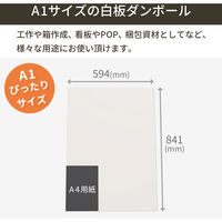 トッパン・コスモ 板ダンボール 片面白 A1 841×594mm 10枚セット FB24-0010-SK 1セット(10枚)（直送品）