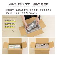 トッパン・コスモ 80サイズダンボール 5枚セット 32×23×15cm FD07-0005-SK 1セット(5枚)（直送品）