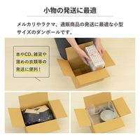 トッパン・コスモ 60サイズダンボール 50枚セット 24×19×14cm FD08-0050-SK 1セット(50枚)（直送品）