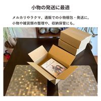 トッパン・コスモ 60サイズダンボール 10枚セット 24×17×8cm FD09-0010-SK 1セット(10枚)（直送品）