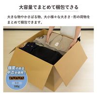 トッパン・コスモ 180サイズダンボール 10枚セット 62×62×50cm FD18-0010-SK 1セット(10枚)（直送品）