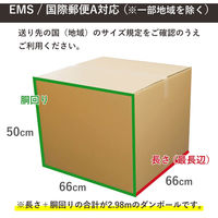 トッパン・コスモ 190サイズダンボール 6枚セット 66×66×50cm FD19-0006-SK 1セット(6枚)（直送品）