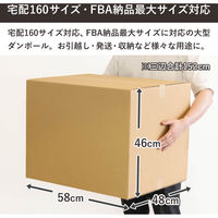 トッパン・コスモ 160サイズダンボール 30枚セット 58×48×46cm FD36-0030-SK 1セット(30枚)（直送品）