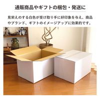 トッパン・コスモ 140サイズ白ダンボール 5枚セット 53×38×33cm FW04-0005-SK 1セット(5枚)（直送品）