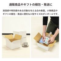 トッパン・コスモ 60サイズ白ダンボール 10枚セット 24×19×14cm FW08-0010-SK 1セット(10枚)（直送品）