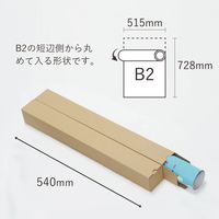 トッパン・コスモ ポスターカレンダーダンボール B2 500枚セット MA02-0500-SK 1セット(500枚)（直送品）