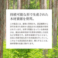 紙製 水切りゴミ袋 ボタニカル柄 三角コーナーいらず 20枚入 1パック 日本製 ネクスタ