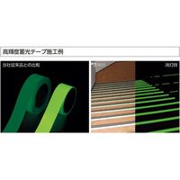 日本緑十字社 高輝度蓄光テープ FLAー053 5mm幅×1m 3巻組 PET 361012 1組（直送品）