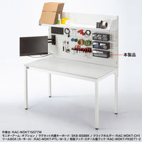 サンワサプライ 作業台専用オプション ツールBOX　 大 幅300×奥行98×高さ113mm ブラック RAC-WDKT-PTL 1個（直送品）