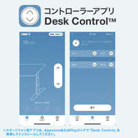 サンワサプライ 電動昇降作業台 メラミン化粧天板 幅1200×奥行500mm ホワイト ERD-WDKM12050W 1台（直送品）