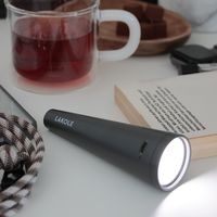 くねくね2WAYライト グレー LAKOLE/ラコレ