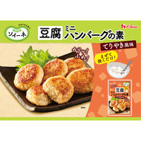 ソイーネ 豆腐ミニハンバーグの素 てりやき風味 1袋 ハウス食品 料理の素 時短