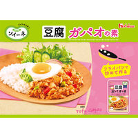 ソイーネ 豆腐ガパオの素 1袋 ハウス食品 料理の素 時短