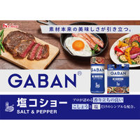 GABAN（ギャバン）塩コショー 90g 袋入り 1袋 ハウス食品