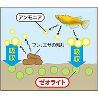 テトラ メダカ ラクラクお手入れ砂利 ブラックミックス 1kg 1個 スペクトラムブランズジャパン