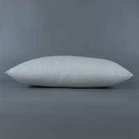 川島織物セルコン 圧縮ポリエステル中材 LT1510 60×35cm LT1510_09 1個（直送品）