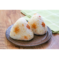 中田食品 紀州梅にく白 500g×5個 4904046024104 1セット(5個)（直送品）