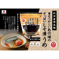 中田食品 昔なつかしいあの頃のすっぱいしそ漬うめ 90g×2個 4904046028799 1セット(2個)（直送品）