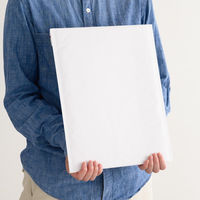 【クッション付封筒】緩衝材付宅配ペーパーバッグ W290×H360mm 白 1袋（10枚入）ヘッズ MWH-TBP1