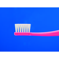 フィード Dent1歯ブラシ flat411/S パック 8885708 1袋(20本入)