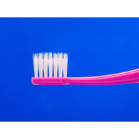 フィード Dent1歯ブラシ taper422/S パック 8883569 1袋(20本入)