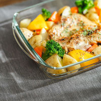 武田コーポレーション 耐熱ガラスグリルプレート 1600mlレクタングル DCGGP-RE1600 1箱(8個入)（直送品）