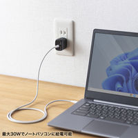 サンワサプライ  USB PD対応AC充電器（PD30W） ACA-PD99BK（直送品）