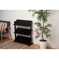 東谷 2WAYラック3D DIS-73BK 1台