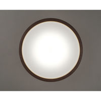 アイリスオーヤマ LEDシーリングライト 14畳調色 ウッドフレーム CEA14DL-5.0QWFM 1台